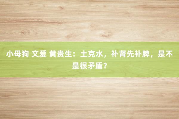 小母狗 文爱 黄贵生：土克水，补肾先补脾，是不是很矛盾？
