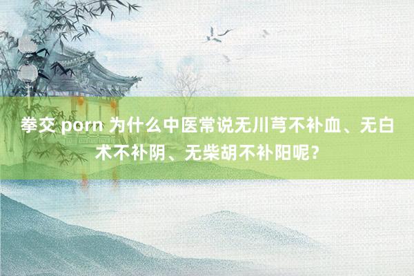 拳交 porn 为什么中医常说无川芎不补血、无白术不补阴、无柴胡不补阳呢？