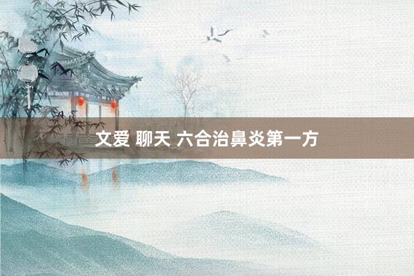 文爱 聊天 六合治鼻炎第一方