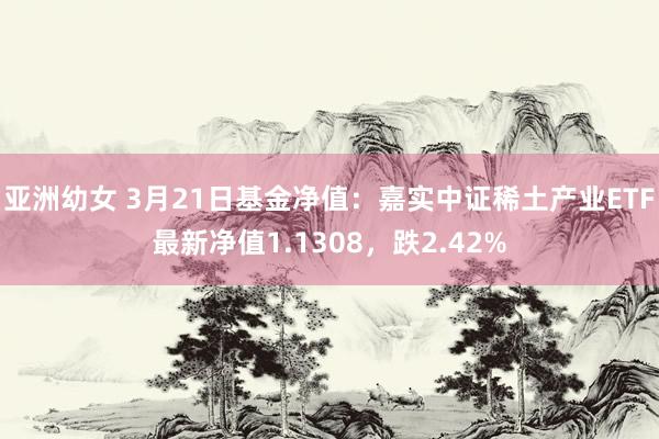 亚洲幼女 3月21日基金净值：嘉实中证稀土产业ETF最新净值1.1308，跌2.42%