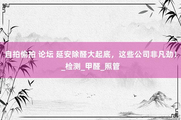 自拍偷拍 论坛 延安除醛大起底，这些公司非凡劲！_检测_甲醛_照管