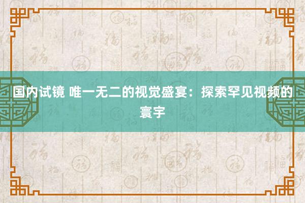 国内试镜 唯一无二的视觉盛宴：探索罕见视频的寰宇