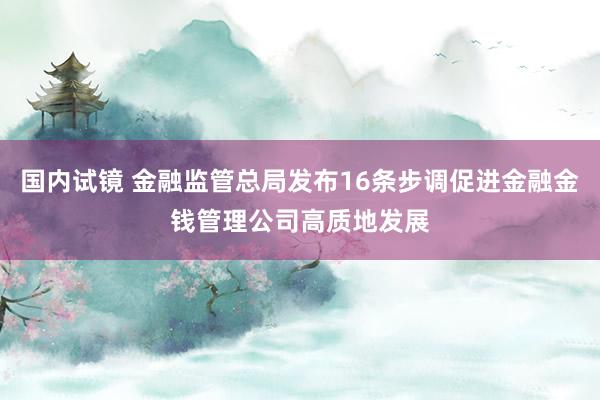 国内试镜 金融监管总局发布16条步调促进金融金钱管理公司高质地发展