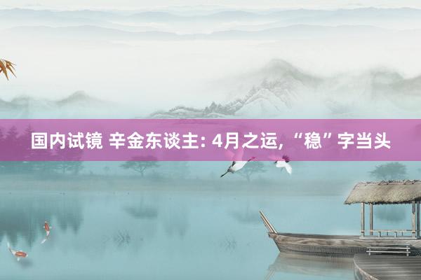 国内试镜 辛金东谈主: 4月之运, “稳”字当头
