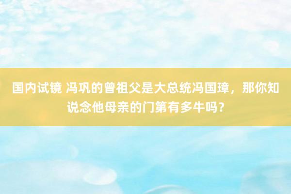 国内试镜 冯巩的曾祖父是大总统冯国璋，那你知说念他母亲的门第有多牛吗？