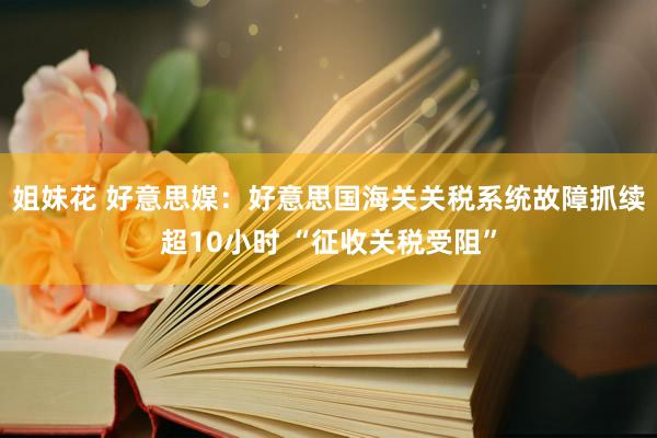 姐妹花 好意思媒：好意思国海关关税系统故障抓续超10小时 “征收关税受阻”