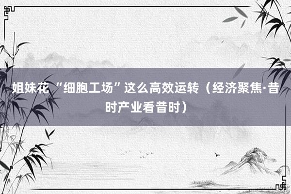 姐妹花 “细胞工场”这么高效运转（经济聚焦·昔时产业看昔时）