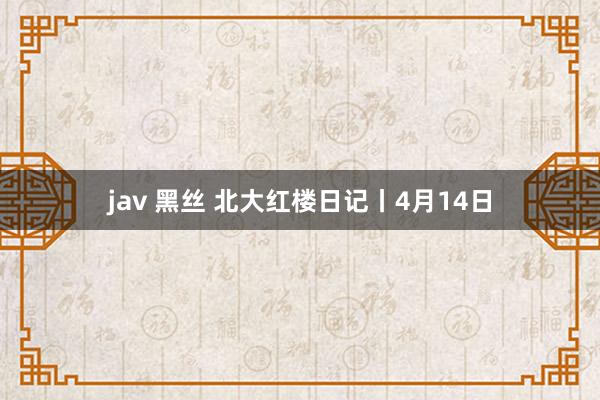jav 黑丝 北大红楼日记丨4月14日