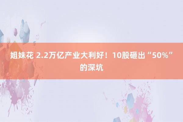 姐妹花 2.2万亿产业大利好！10股砸出“50%”的深坑