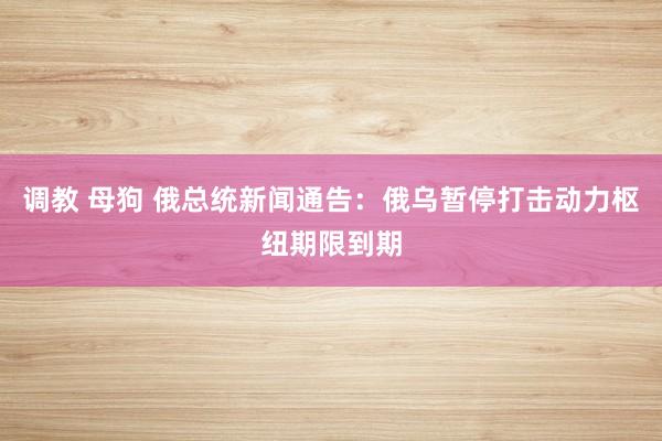 调教 母狗 俄总统新闻通告：俄乌暂停打击动力枢纽期限到期