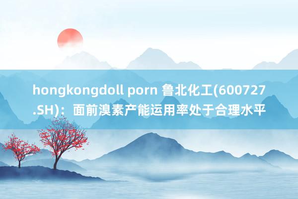 hongkongdoll porn 鲁北化工(600727.SH)：面前溴素产能运用率处于合理水平