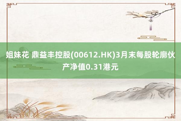 姐妹花 鼎益丰控股(00612.HK)3月末每股轮廓伙产净值0.31港元