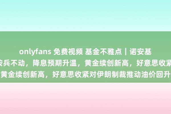 onlyfans 免费视频 基金不雅点｜诺安基金：好意思联储3月络续按兵不动，降息预期升温，黄金续创新高，好意思收紧对伊朗制裁推动油价回升