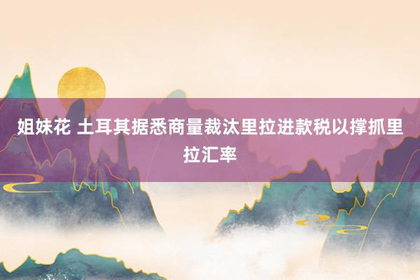 姐妹花 土耳其据悉商量裁汰里拉进款税以撑抓里拉汇率
