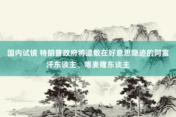 国内试镜 特朗普政府将遣散在好意思隐迹的阿富汗东谈主、喀麦隆东谈主