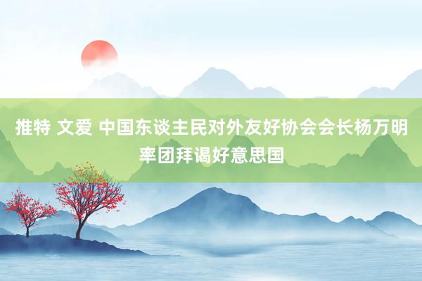 推特 文爱 中国东谈主民对外友好协会会长杨万明率团拜谒好意思国