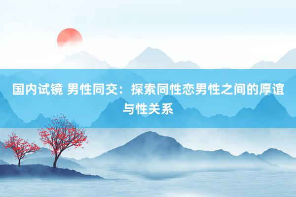 国内试镜 男性同交：探索同性恋男性之间的厚谊与性关系