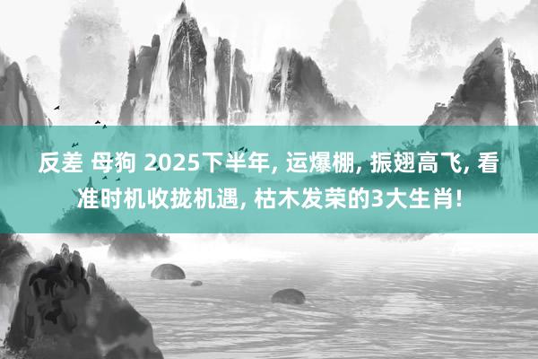 反差 母狗 2025下半年， 运爆棚， 振翅高飞， 看准时机收拢机遇， 枯木发荣的3大生肖!
